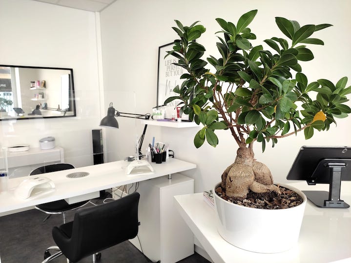salon